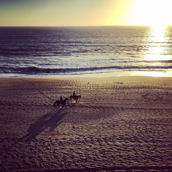 Meet your Posher, Jennifer - Picture 1 of 1